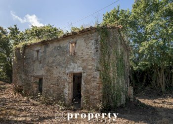 Rustico Ripatransone - foto 1