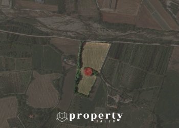 Rustico Ripatransone - foto 3