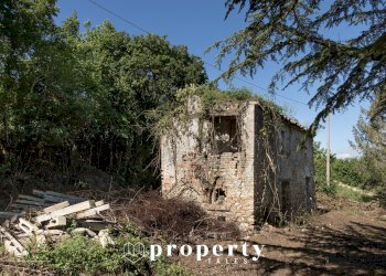 Rustico Ripatransone - foto 5