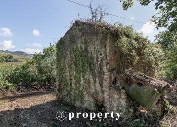 Rustico Ripatransone - foto 8