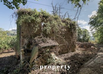 Rustico Ripatransone - foto 9