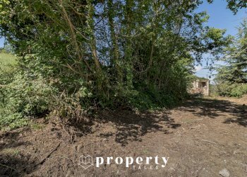 Rustico Ripatransone - foto 14