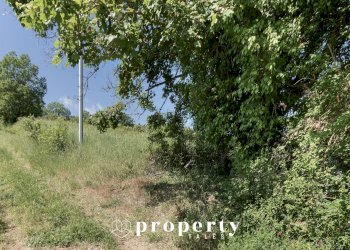 Rustico Ripatransone - foto 15