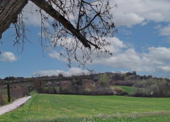 Rustico Ripatransone - foto 17