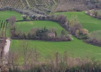 Rustico Ripatransone - foto 19