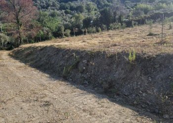 WhatsApp Image 2026-08-06 at 09.18.29 (2) - Appartamento Via Montefrancio 46, Castelnuovo Magra - foto 11