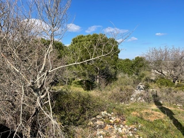 IMG_0980.jpg - Villa Strada Provinciale 4, Noto - foto 2