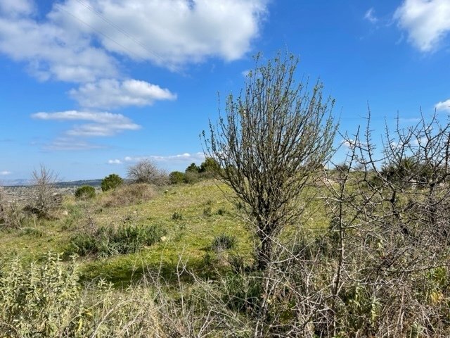 IMG_0981.jpg - Villa Strada Provinciale 4, Noto - foto 3