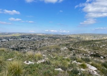 IMG_0985.jpg - Villa Strada Provinciale 4, Noto - foto 1