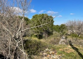 IMG_0980.jpg - Villa Strada Provinciale 4, Noto - foto 2