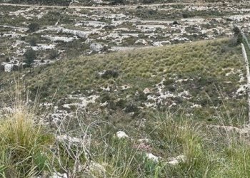 IMG_0987.jpg - Villa Strada Provinciale 4, Noto - foto 8