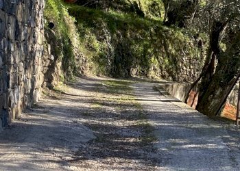 IMG_4219.jpg - Terratetto - Terracielo Villa Libiola, Sestri Levante - foto 19