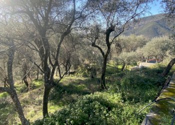 IMG_4220.jpg - Terratetto - Terracielo Villa Libiola, Sestri Levante - foto 20