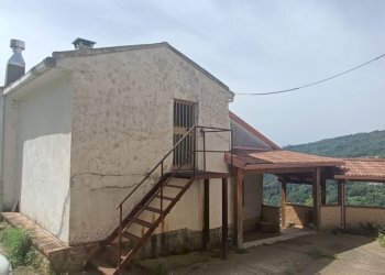 IMG20230519104858.jpg - Villa acquadauzano, Lamezia Terme - foto 1
