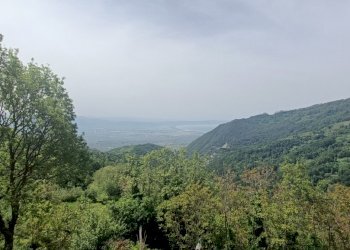 IMG20230519104418.jpg - Villa acquadauzano, Lamezia Terme - foto 2