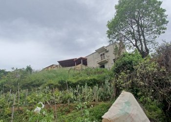 IMG20230519112703.jpg - Villa acquadauzano, Lamezia Terme - foto 10