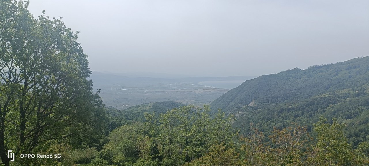 IMG20230519104412.jpg - Villa acquadauzano, Lamezia Terme - foto 2