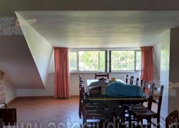 FFFFFFFF.png - Villa Misano Adriatico - foto 7