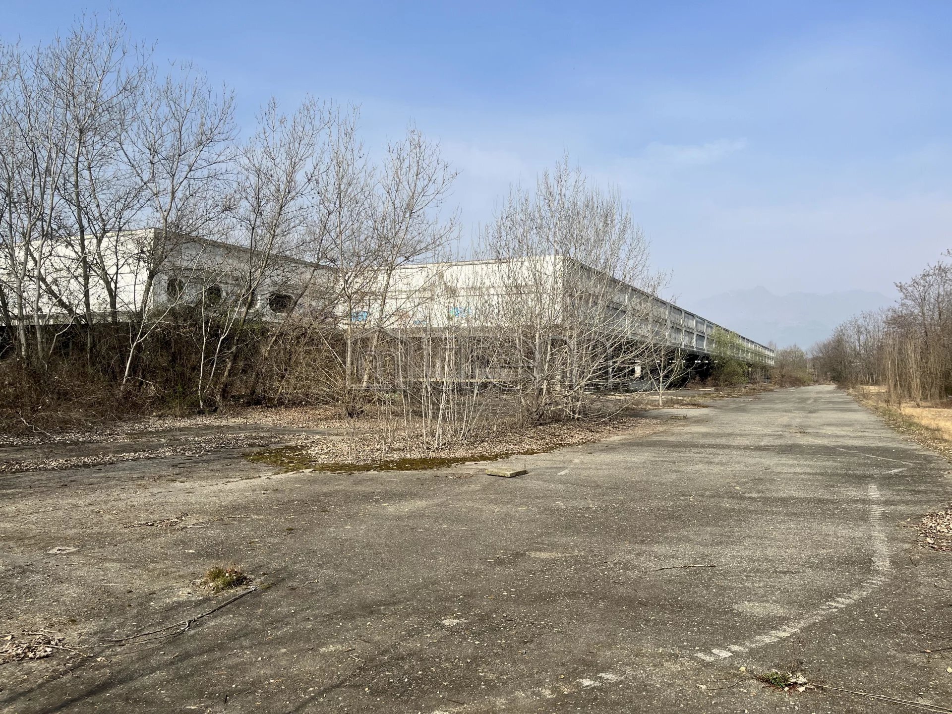 Capannone strada Trossi, Verrone - foto 3