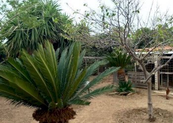 Agriturismo VIA GIARRATANA, Scicli - photo 17