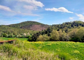 WhatsApp Image 2023-05-22 at 16.49.48.jpeg - Agricultural land Amelia - photo 1