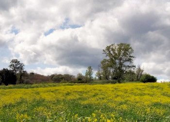 WhatsApp Image 2023-05-22 at 16.49.49 (1).jpeg - Agricultural land Amelia - photo 6