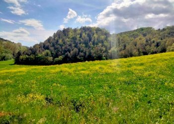 WhatsApp Image 2023-05-22 at 16.49.49.jpeg - Agricultural land Amelia - photo 9