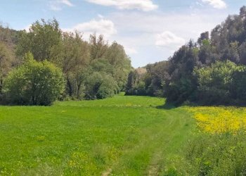 WhatsApp Image 2023-05-22 at 16.49.50 (1).jpeg - Agricultural land Amelia - photo 10