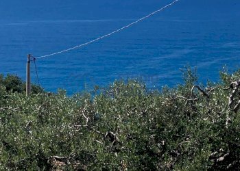 Immagine WhatsApp 2025-05-23 ore 12.20.12_8b53e3a9 - Villa Via Fossati, Cipressa - foto 25