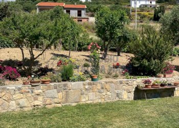 Immagine WhatsApp 2025-05-23 ore 12.20.25_af6696da - Villa Via Fossati, Cipressa - foto 27