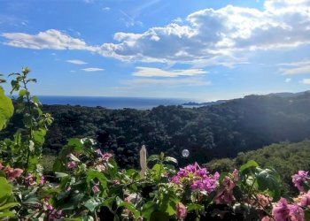 WhatsApp Image 2022-08-23 at 11.46.11 (1).jpeg - Quadrilocale Chiavari - foto 25