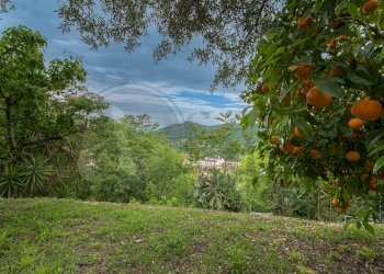 Single Family Villa Via Antonio Simonelli, Arce - photo 13