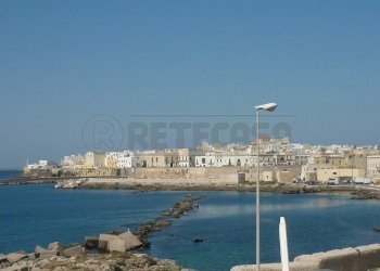 P1030807.JPG - Bilocale Via Mazzarella 29, Gallipoli - foto 30