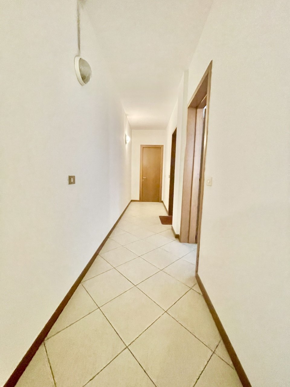 IMG_7351 2.jpg - Ufficio Montignoso - foto 1