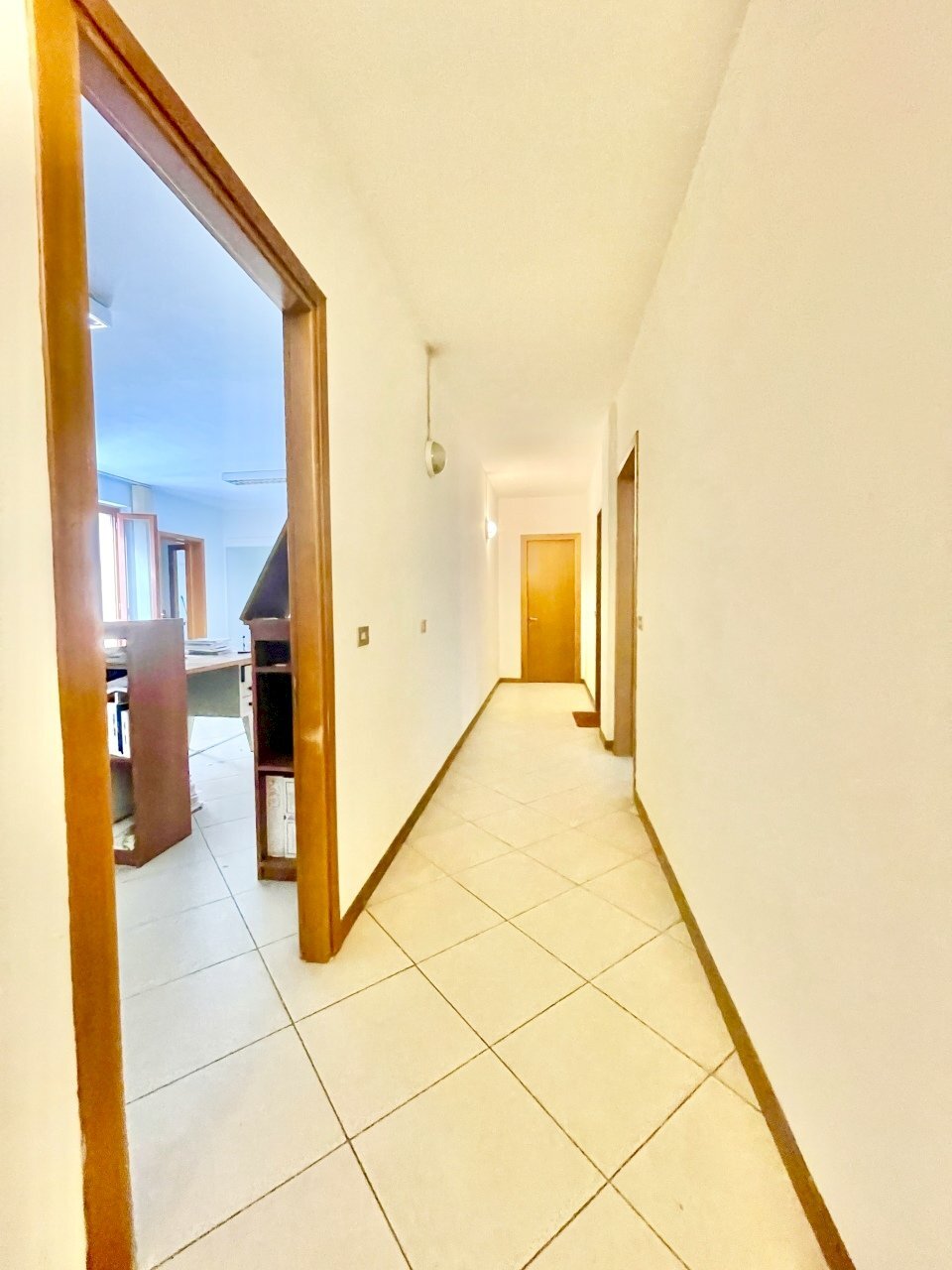 IMG_7352 2.jpg - Ufficio Montignoso - foto 2