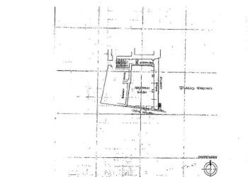 planimetria  - Palazzo Storico via FRICCHIERI, 36, Carignano - foto 48