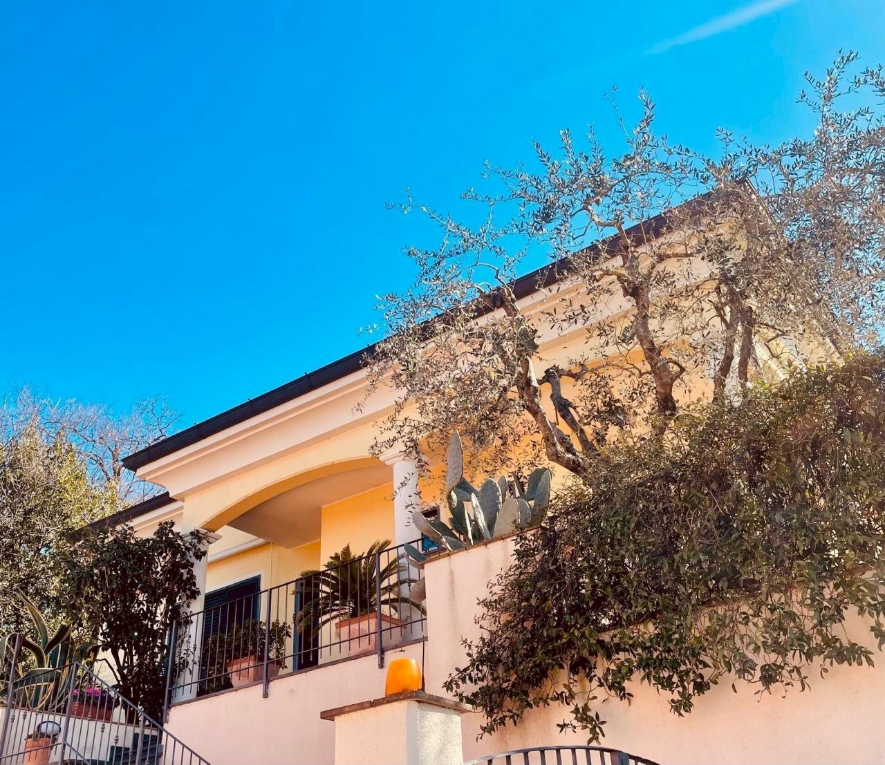 Immagine WhatsApp 2025-03-20 ore 11.46.16_97b5a0d4 - Villa Sarzana - photo 2