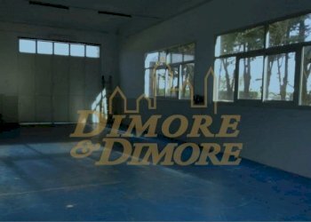 AR2.JPG - Non Alimentare Gravellona Toce - foto 7