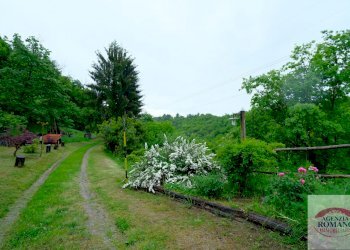 Rif 1323(Copy71).jpg - Casa indipendente Altare - foto 16