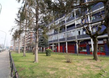 Negozio Torino - foto 18