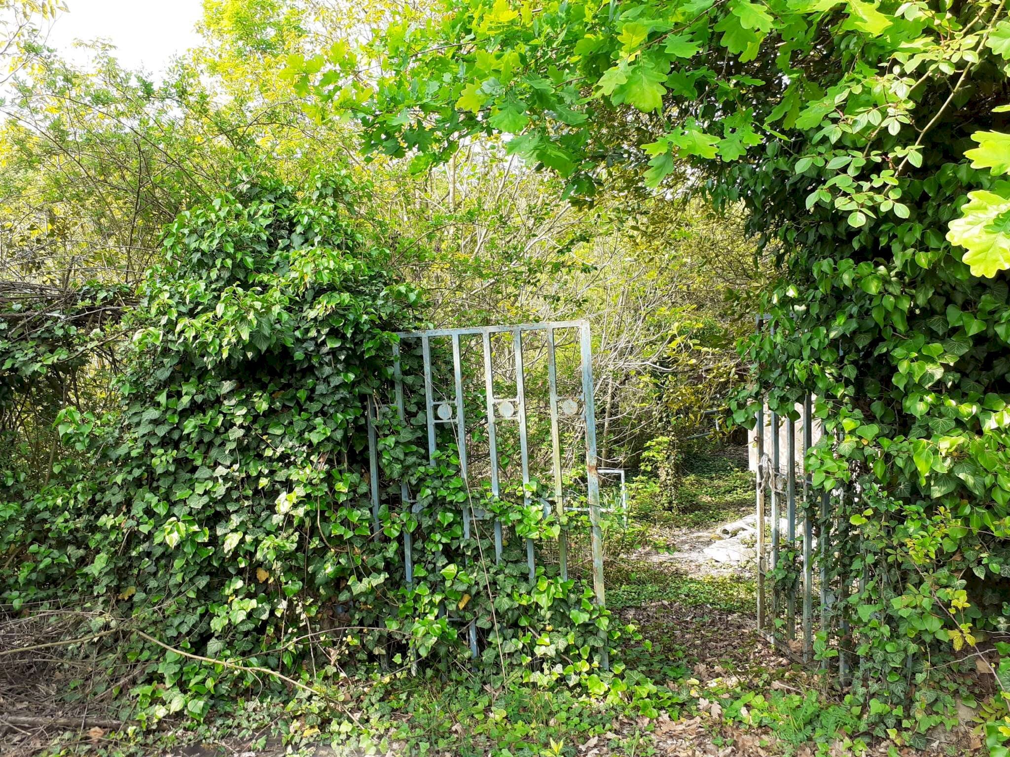 Foto 1 - Casa indipendente Tetti Roch, Pino Torinese - foto 1