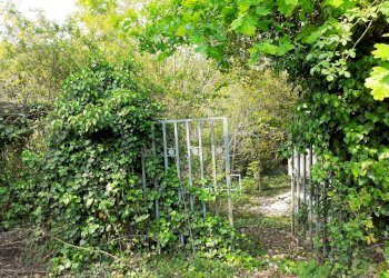 Foto 1 - Casa indipendente Tetti Roch, Pino Torinese - foto 1