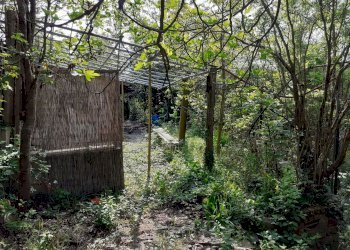 Foto 4 - Casa indipendente Tetti Roch, Pino Torinese - foto 4