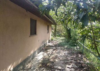 Foto 5 - Casa indipendente Tetti Roch, Pino Torinese - foto 5