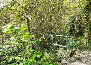 Foto 6 - Casa indipendente Tetti Roch, Pino Torinese - foto 6