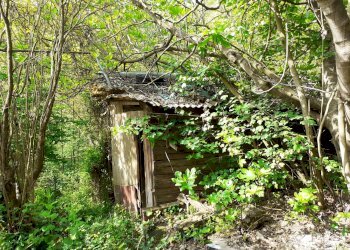 Foto 7 - Casa indipendente Tetti Roch, Pino Torinese - foto 7