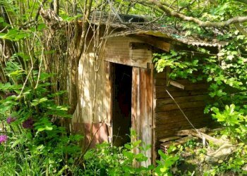 Foto 8 - Casa indipendente Tetti Roch, Pino Torinese - foto 8