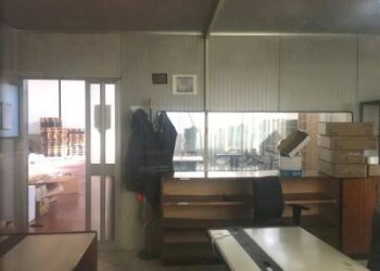 immobile_commerciale_affitto_Cesena_foto_627905824 - Locale Commerciale Via Stradone di Camigliano, Capannori - foto 6