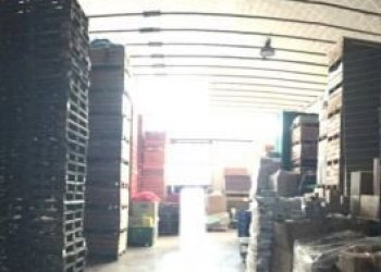 immobile_commerciale_affitto_Cesena_foto_627910352 - Locale Commerciale Via Stradone di Camigliano, Capannori - foto 7