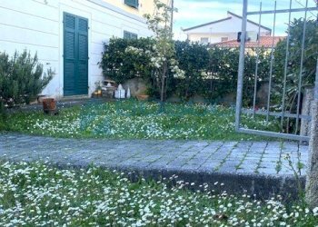 IMG_1521.jpg - Trilocale Sarzana - foto 5